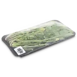 Rugula