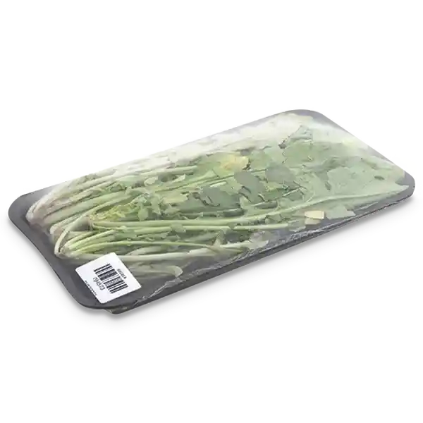 Rugula