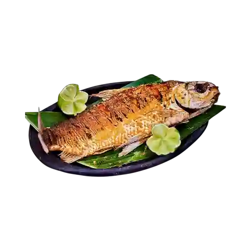 Bocachico Frito