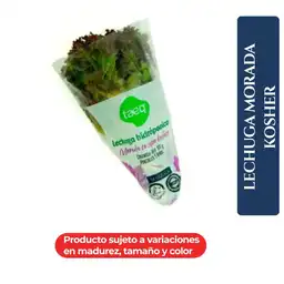 Lechuga Morada Kosher Taeq 120 Gr