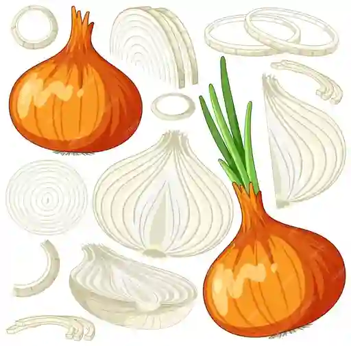 Adicion Cebolla Camameliza