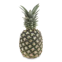 Makro Pina Golden