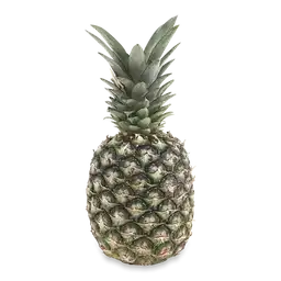 Makro Pina Golden