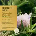 Herbal Essences Bio Renew Rosemary & Herbs Shampoo