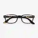 Inkanta Gafas Letmesee Carey + 2.0 Modelo B