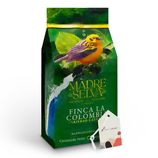 Madre Selva Café Especial la Colombia Molido