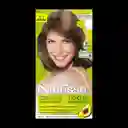 Garnier-Nutrisse Tinte Permanente Centeno 61