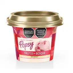 Popsy Helado Gourmet con Sabor a Frutos del Bosque