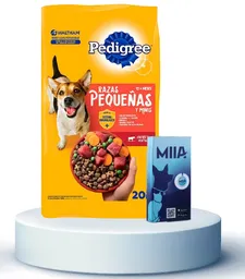 Combo Miia + Comida Para Perro Pedigree Raza Pequena 2Kg