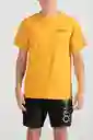 ONeill Camiseta Slim Fit Shaved Ice Masculina Mostaza Talla XL