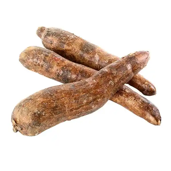 Yuca Parafinada