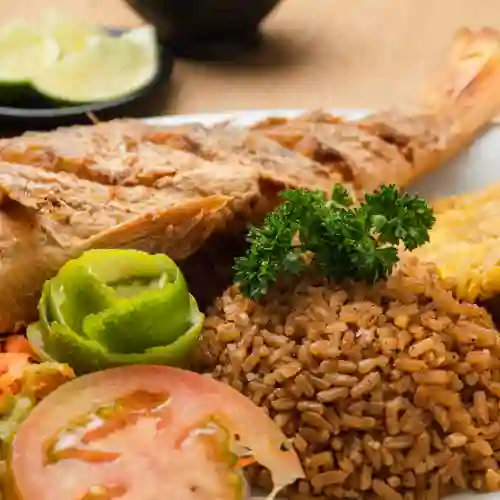 Tilapia