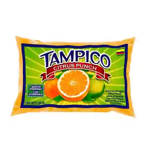 Tampico Bolsa