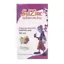 Sulzinc Solución Oral (2 mg)