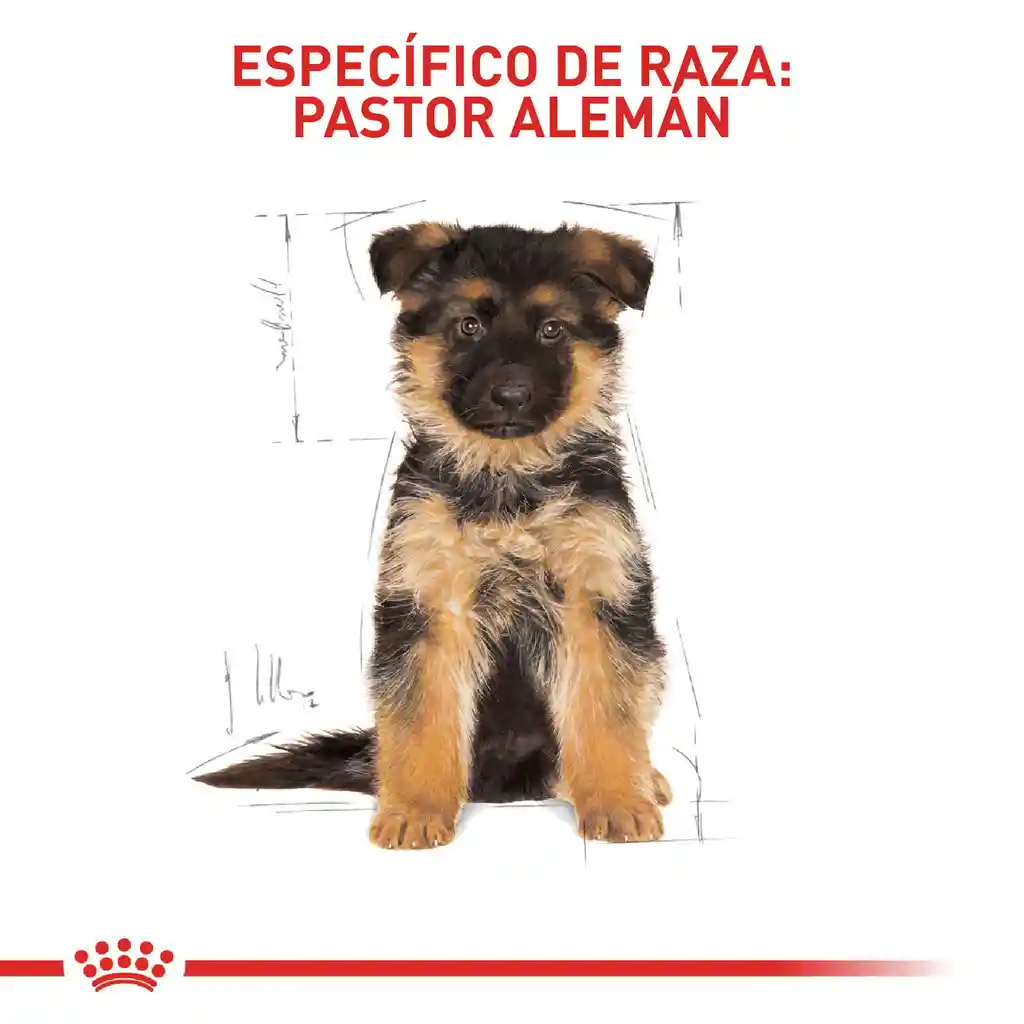 Royal Canin Bhn German Shepherd Puppy 13.6 Kg