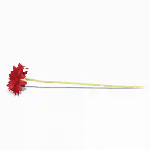 Gerbera Roja 47 cm Ambiente Gourmet