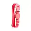 Zeedog Collar Para Perro Neopro Bubble Gum Talla L