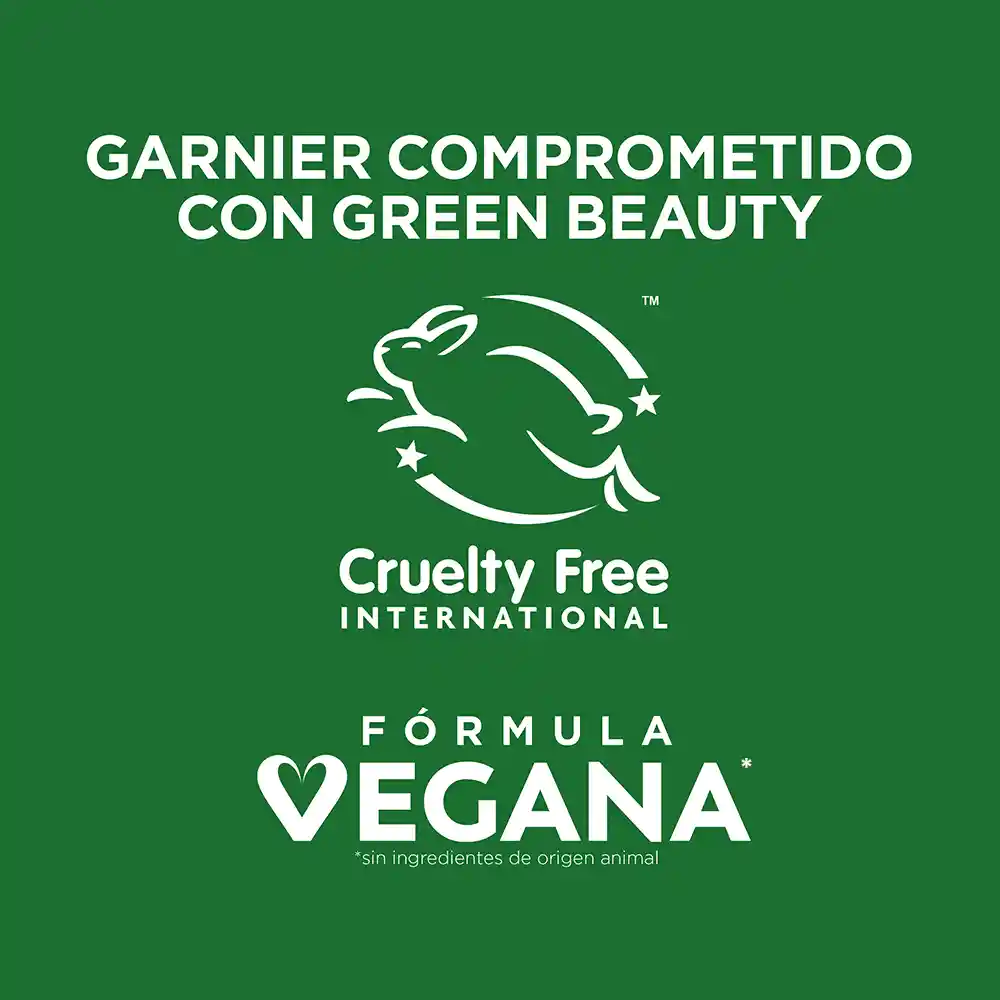 Tratamiento Capilar Hair Foof Garnier Piña Revitalización 350 mL