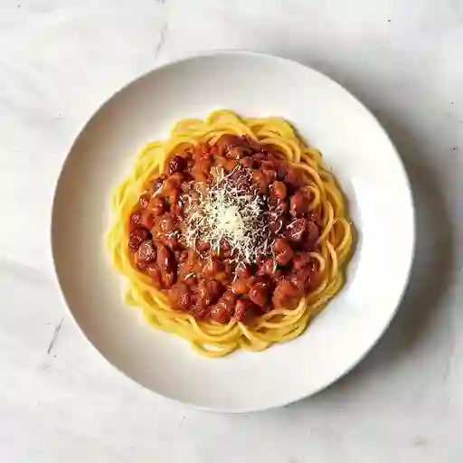 Bolognesa