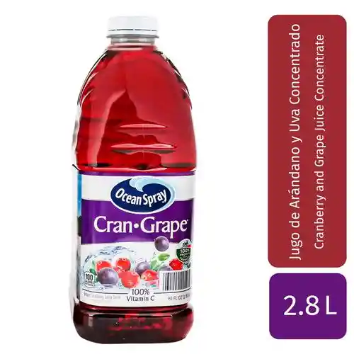 Ocean Spray Jugo Uva y Arándano