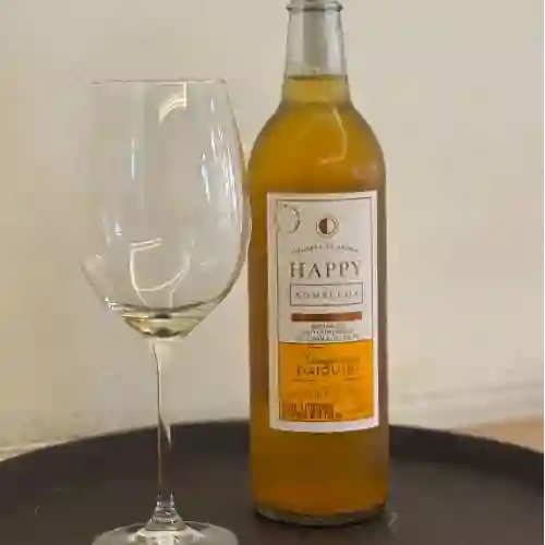 Kombucha en Litro