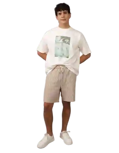 Camiseta Hombre Blanco Talla: MEDIUM 4645100 American Eagle