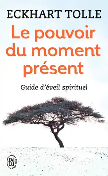 Le Pouvoir du Moment Présent: Guide DÉveil Spirituel