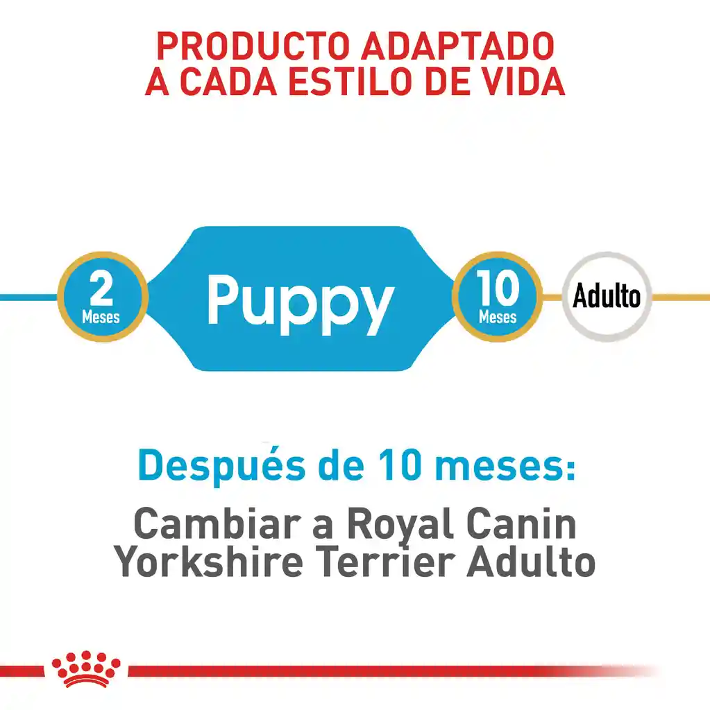 Royal Canin Alimento para Perro Yorkshire Terrier Puppy