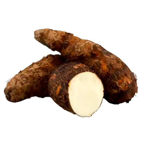 Yuca