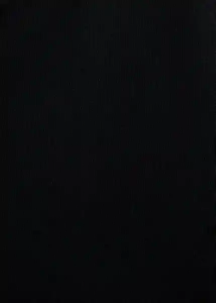 Top Rayo Negro Talla M Mujer Mango