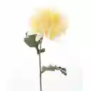 Finlandek Flor Crisantemo