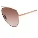 Gafas Unisex Color Oro Rosa X17094 Steve Madden