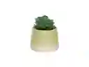 Maceta Cactus Dúo Amarillo Casaideas