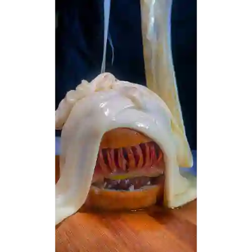 Hamburguesa Argentina