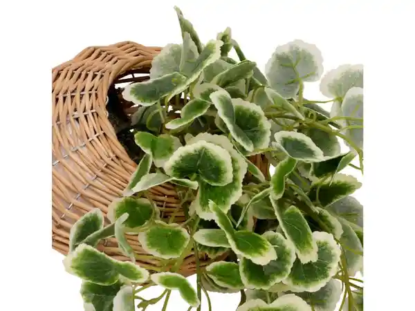 Maceta Fibra Planta Colgante Casaideas