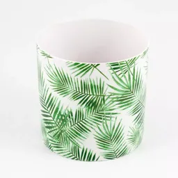 Expressions Matera Diseño Clásico Con Ilustración Botánica 767