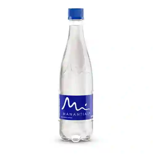 Agua Manantial 300 ml