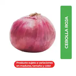 Cebolla Roja C Granel