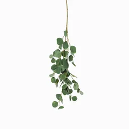 Ambiente Gourmet Figura Hoja Eucalipto 110 cm