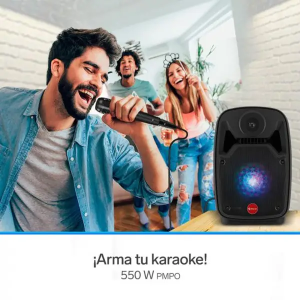 Steren Bafle 550W Pmpo de 8''
