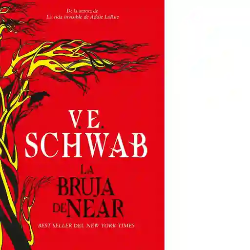 La Bruja de Near - Books4pocket