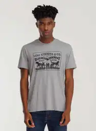 Levi's Camiseta Manga Corta Gs Gris L 220242