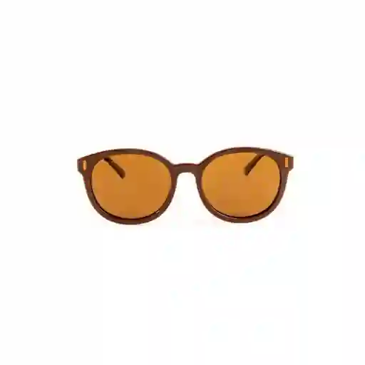 Invicta Gafas Eyewear I Marron Unisex 24624-pro-05