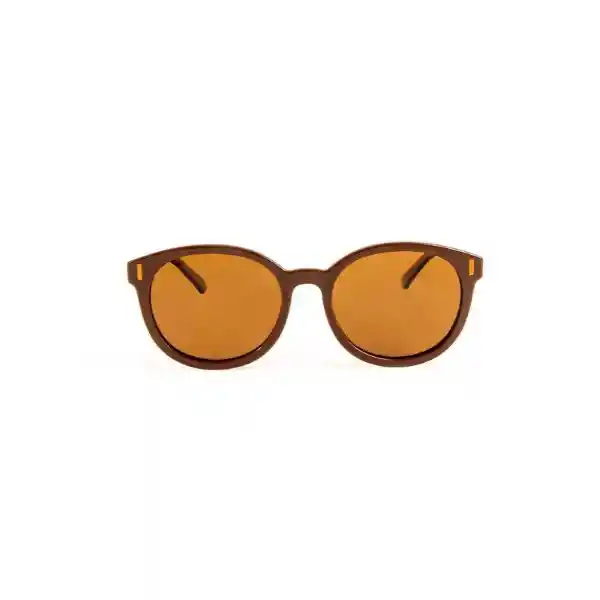 Invicta Gafas Eyewear I Marron Unisex 24624-pro-05