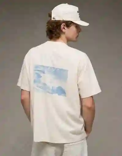Camiseta Hombre Café Talla Medium 4824210 American Eagle
