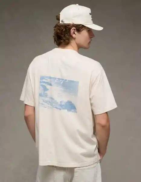 Camiseta Hombre Café Talla Medium 4824210 American Eagle