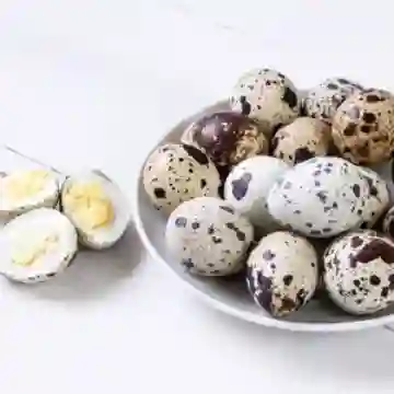 Huevos de Codorniz