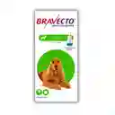 Bravecto Antipulgas para Perros (500 mg)