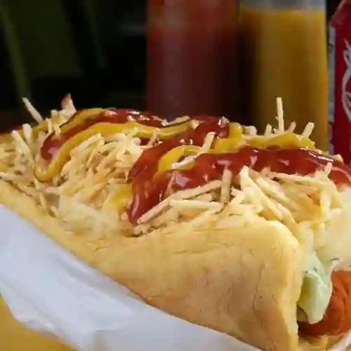 Perro Sencillo
