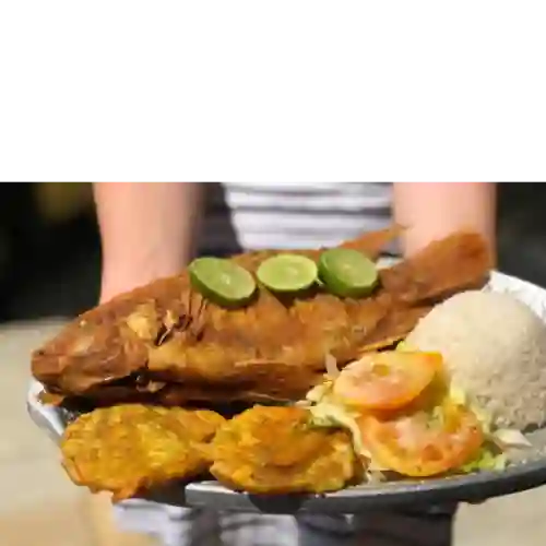 Mojarra Frita